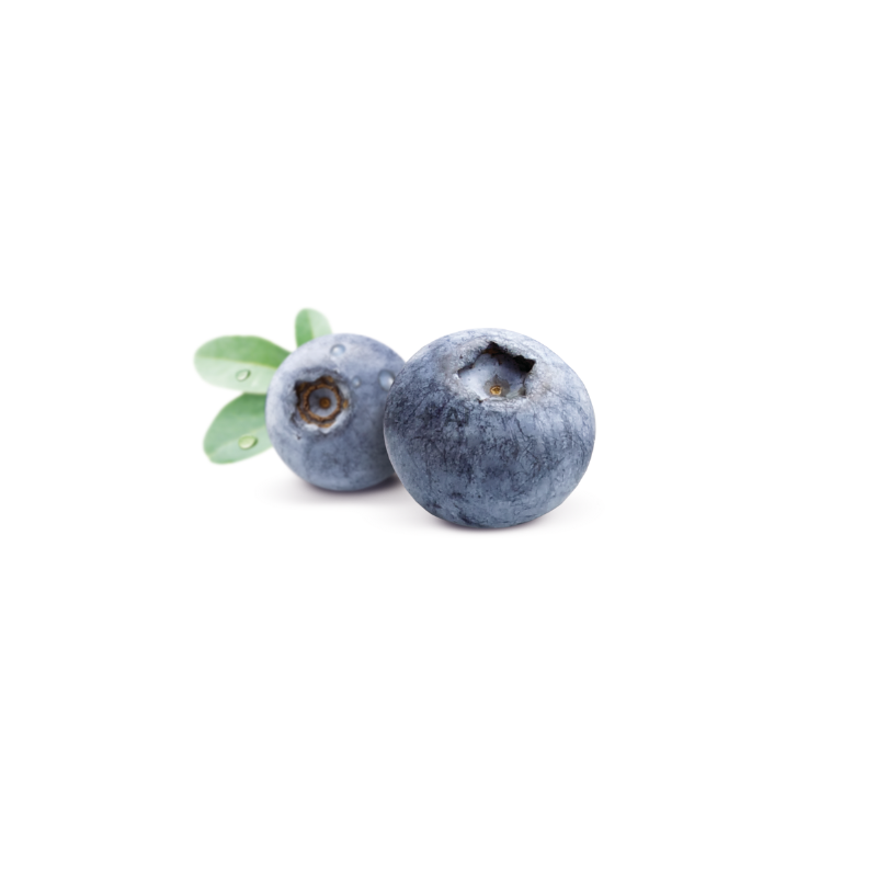 arándanos