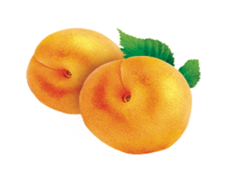 albaricoque