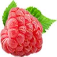 FRAMBUESA  
